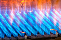 Buckland gas fired boilers